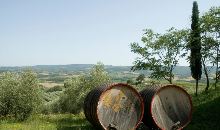 Tuscany Family Adventure through Vineyards and Villages